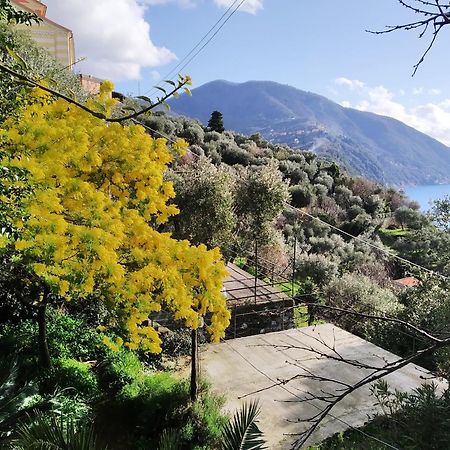 Villa San Prospero Camogli Rum bild