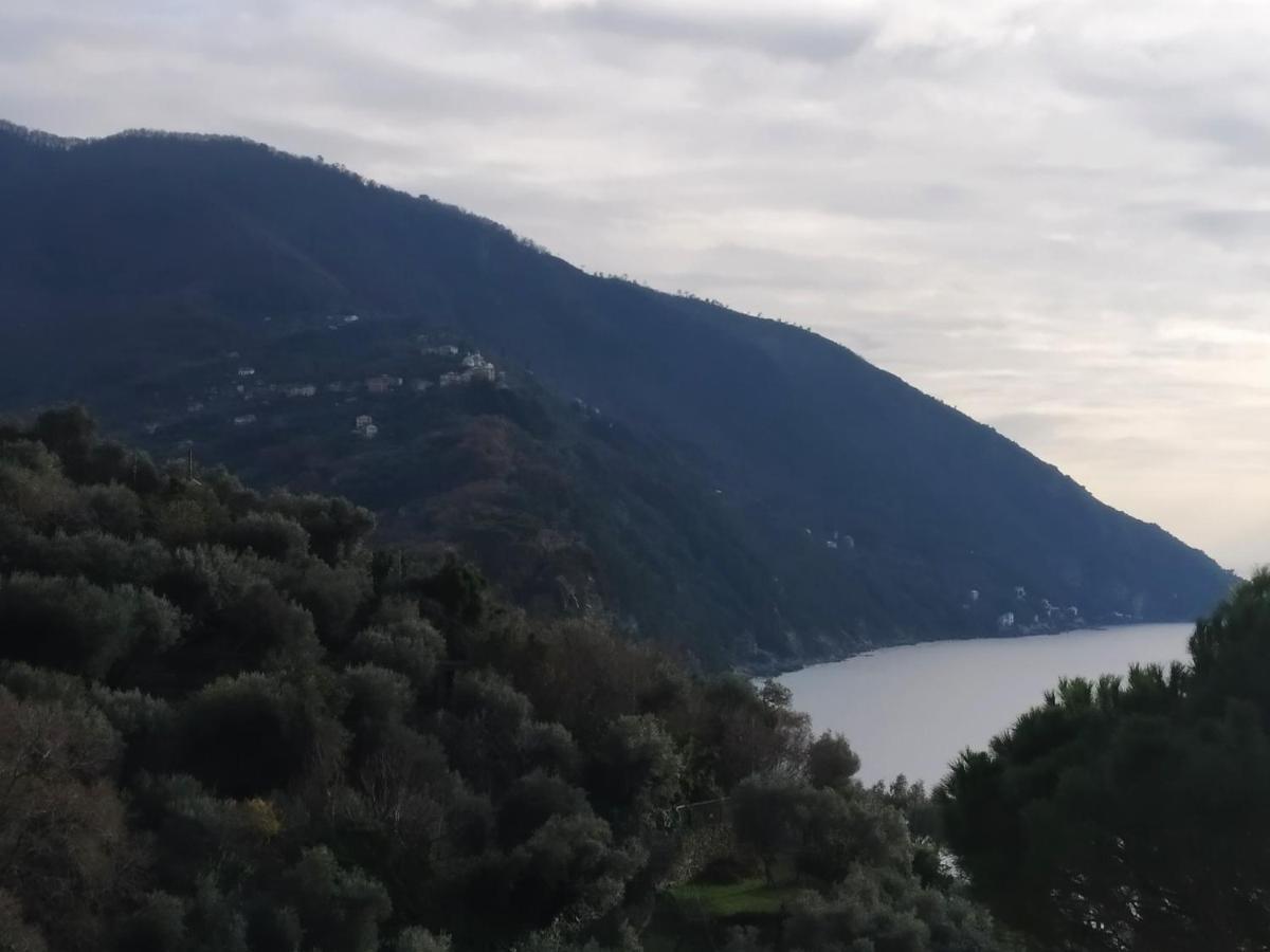 Villa San Prospero Camogli Exteriör bild