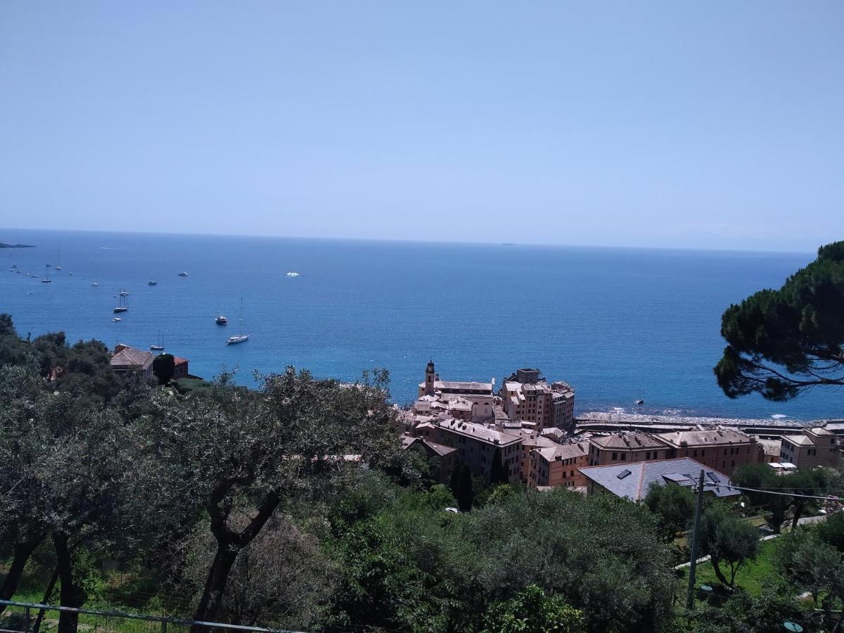 Villa San Prospero Camogli Exteriör bild