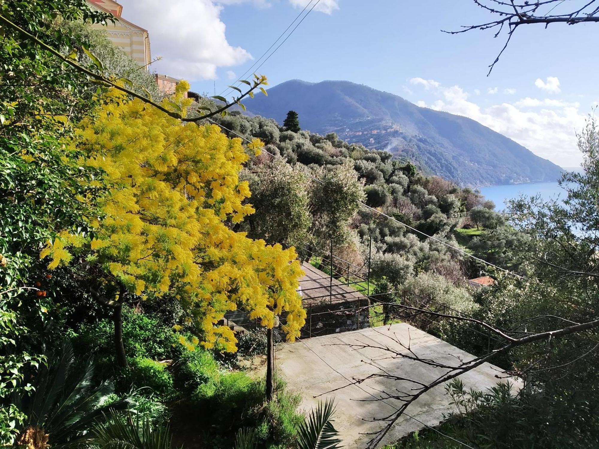 Villa San Prospero Camogli Rum bild