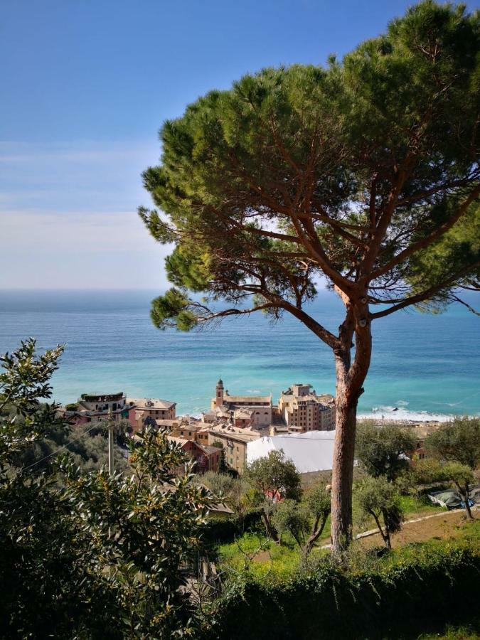 Villa San Prospero Camogli Exteriör bild