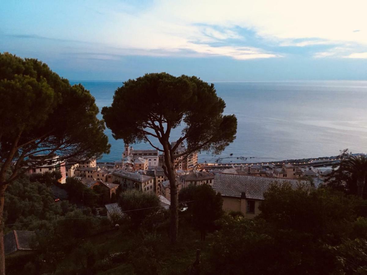 Villa San Prospero Camogli Exteriör bild