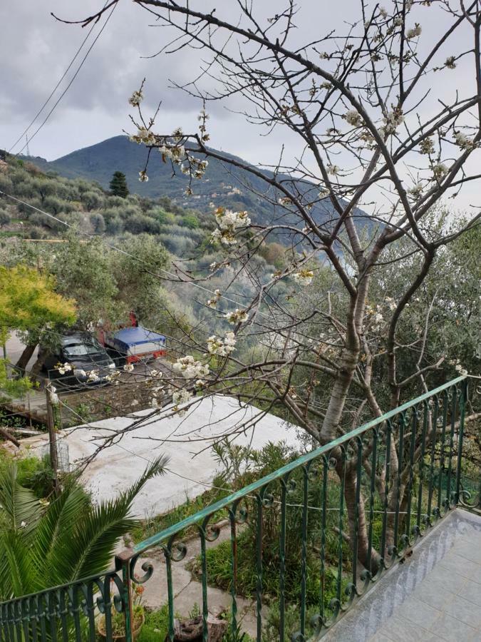 Villa San Prospero Camogli Exteriör bild