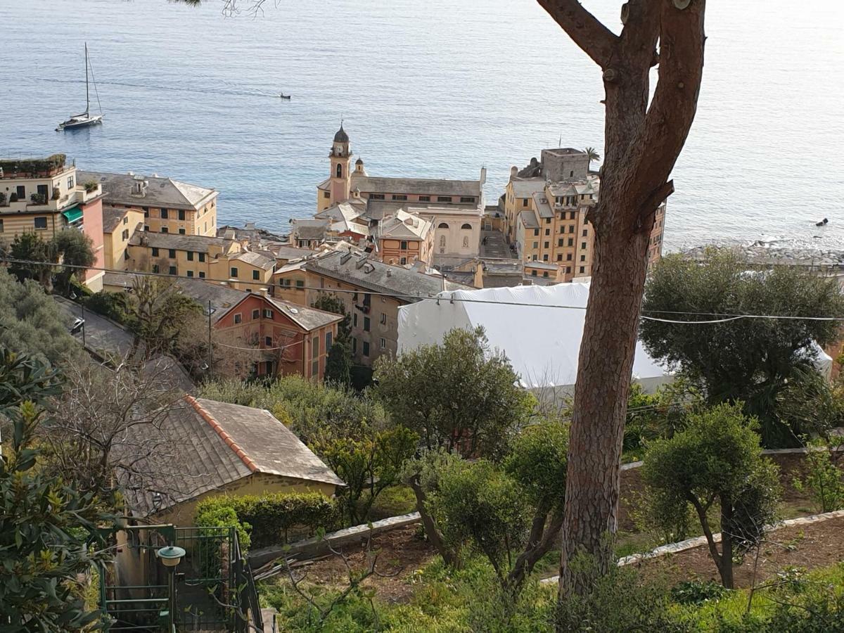 Villa San Prospero Camogli Exteriör bild