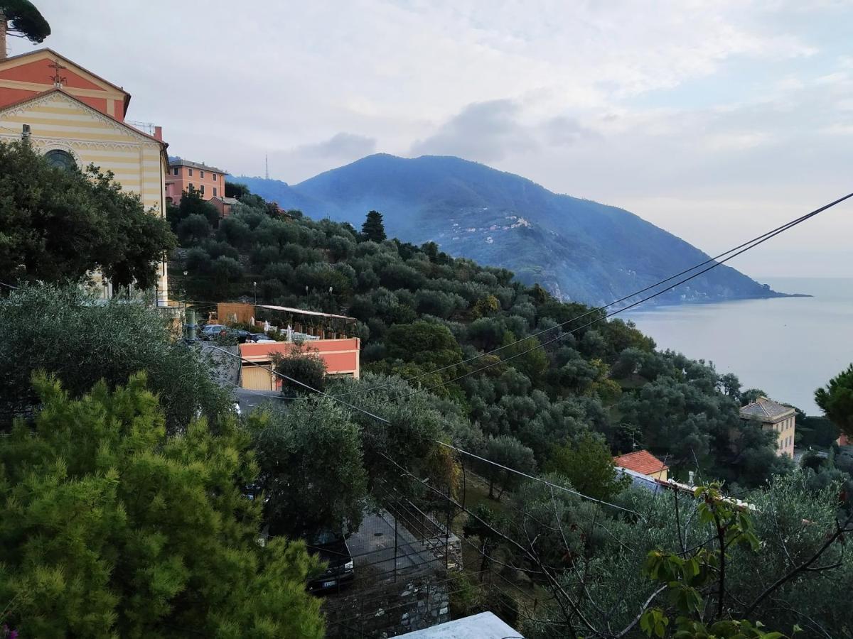 Villa San Prospero Camogli Exteriör bild